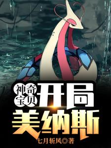 免费阅读叶寻为主角的小说，神奇宝贝：开局美纳斯在线看