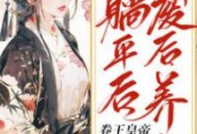 主角叫姜闻歌慕容沧溟的小说在哪阅读-水墨文学