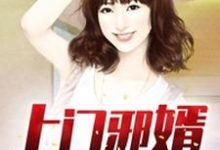 小说《上门邪婿》章节阅读-水墨文学