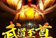 武道至尊最新章节，武道至尊免费阅读-水墨文学