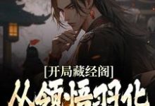 蔺九凤白云飞小说叫什么（开局藏经阁，从领悟羽化不朽诀开始免费阅读）-水墨文学
