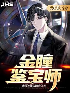 主人公叫沈睿杨丽的小说金瞳鉴宝师在线阅读章节