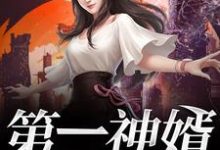 完结版《第一神婿》章节目录在线阅读-水墨文学