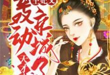 天才弃妃：王妃又轰动京城了免费阅读，天才弃妃：王妃又轰动京城了章节目录-水墨文学