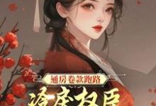 小说《通房卷款跑路，冷戾权臣悔婚拿人》章节免费阅读-水墨文学