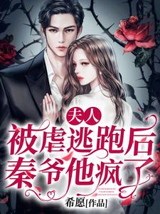 已完结小说《夫人被虐逃跑后，秦爷他疯了》章节免费阅读