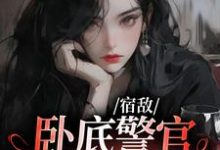 宿敌：卧底警官她过分美丽小说，宿敌：卧底警官她过分美丽谈又宁霍远沉-水墨文学