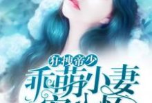 狂拽帝少：乖萌小妻宠入怀迟安安雷御叶梓萌在线章节免费阅读-水墨文学