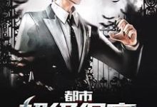 完结版《都市超级保安》章节目录在线阅读-水墨文学