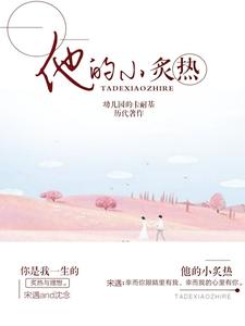 在线寻找沈念宋遇孟欢苏洵南的小说，他的小炙热免费阅读