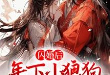 小说《闪婚后,年下小狼狗不装了》在线章节阅读-水墨文学