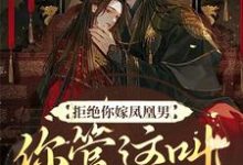 已完结小说《拒绝你嫁凤凰男,你管这叫恶人?》章节在线阅读-水墨文学