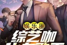 许诚是哪本书的主角?娱乐圈:综艺咖化身歌王免费读-水墨文学