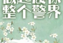完结版《从实习做起震惊整个警界》章节目录在线阅读-水墨文学