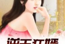 完结版《逆天狂婿（龙王殿）》在线免费阅读-水墨文学