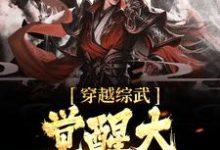 穿越综武，觉醒大反派系统这本小说在哪里可以看？哪里有免费试读章节？-水墨文学