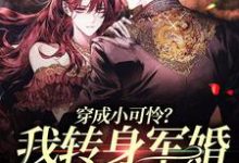 穿成小可怜？我转身军婚嫁兵哥哥林曦纪晏殊，穿成小可怜？我转身军婚嫁兵哥哥小说免费阅读-水墨文学