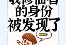 《入赘后，我修仙者的身份被发现了》全集免费在线阅读（叶寒）-水墨文学