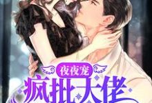 已完结小说《夜夜宠,疯批大佬霸道撩妻》章节在线阅读-水墨文学