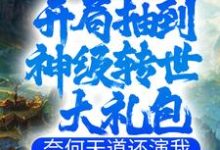 《开局抽到神级转世大礼包,奈何天道还演我》小说主角叶玄东方薇雪章节章节免费在线阅读-水墨文学