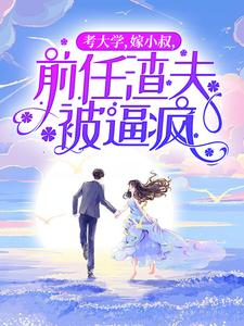 考大学，嫁小叔，前任渣夫被逼疯章节免费在线阅读，童画顾司完结版