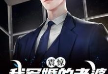 完结版《震惊!我军婚的老婆成富婆了》章节阅读-水墨文学