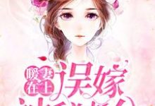 小说《暖妻在上:误嫁神秘老公》章节阅读-水墨文学