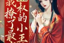 小说《重生后，我撩了最有权的小王爷》在线章节阅读-水墨文学