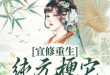 宜修重生纯元梗它不管用了！小说的无弹窗阅读体验，寻找免费阅读网站-水墨文学