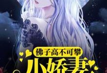 在线寻找佛子高不可攀，小娇妻她怂了小说的无删减版本-水墨文学